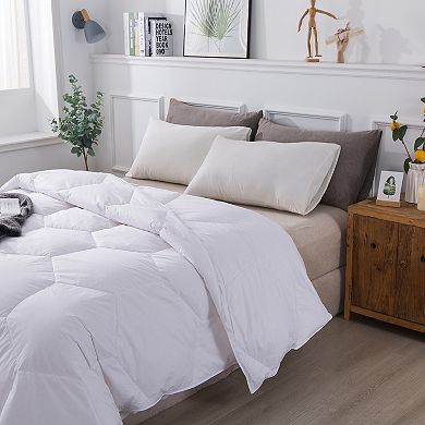 Dream On Trendy Down-Alternative Comforter