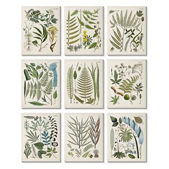 Stupell Home Decor Vintage Fern Illustrations Forest Greenery Plants Chart Wall Art