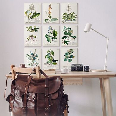 Stupell Home Decor Vintage Botanical Greenery Illustrations with Scientific Script Wall Art