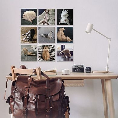 Stupell Home Decor Cat Yoga Stretching Poses Animal Life Pet Humor Wall Art