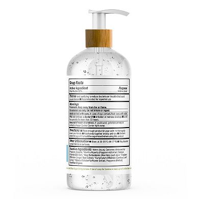 Raw Sugar Living Hand Sanitizer - Peppermint + Sea Salt