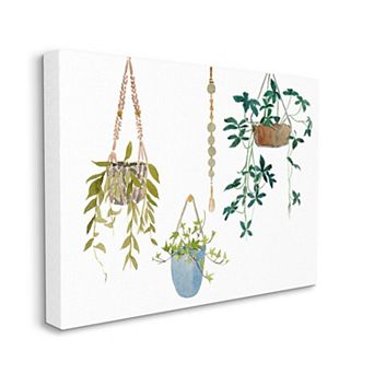 Stupell Home Decor Hanging Plant Vines Canvas Wall Art