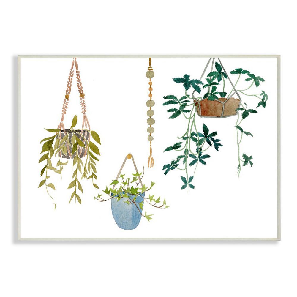 Stupell Home Decor Hanging Plant Vines Watercolor Wall Art