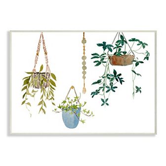 Stupell Home Decor Hanging Plant Vines Watercolor Wall Art