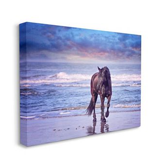 Stupell Home Decor Wild Horse Beach Canvas Wall Art