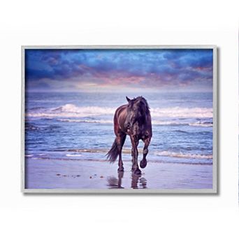 Stupell Home Decor Wild Horse Beach Sunset Framed Wall Art