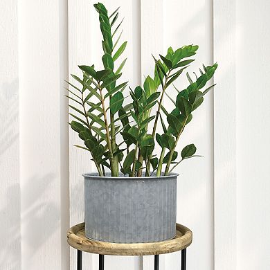 Sonoma Goods For Life Large Planter & Stand Floor Decor