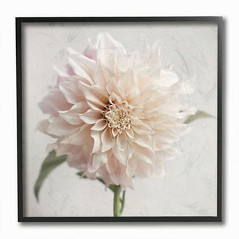 Stupell Home Decor Pink Dahlia Framed Wall Art