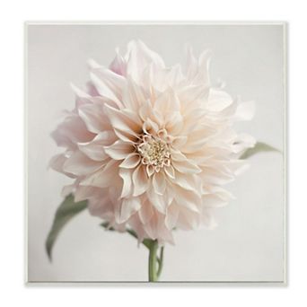 Stupell Home Decor Pink Dahlia Wall Art