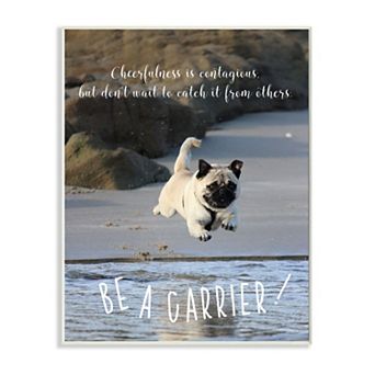 Stupell Home Decor Be a Cheerfulness Carrier Dog Plaque Wall Art