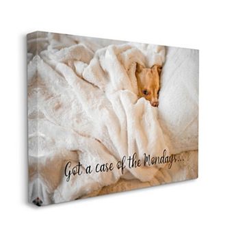 Stupell Home Decor Case of the Mondays Pet Humor Canvas Wall Art