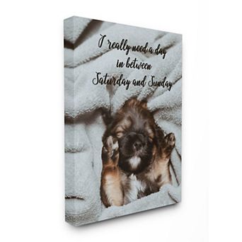 Stupell Home Decor Three Day Weekend Phrase Pet Humor Wall Art
