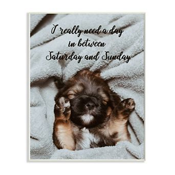 Stupell Home Decor Three Day Weekend Phrase Pet Humor Wall Art