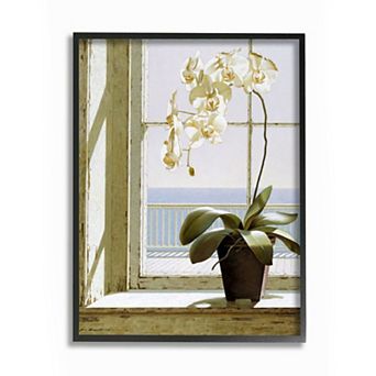Stupell Home Decor White Orchid in Window Coastal Painting Framed Wall Art