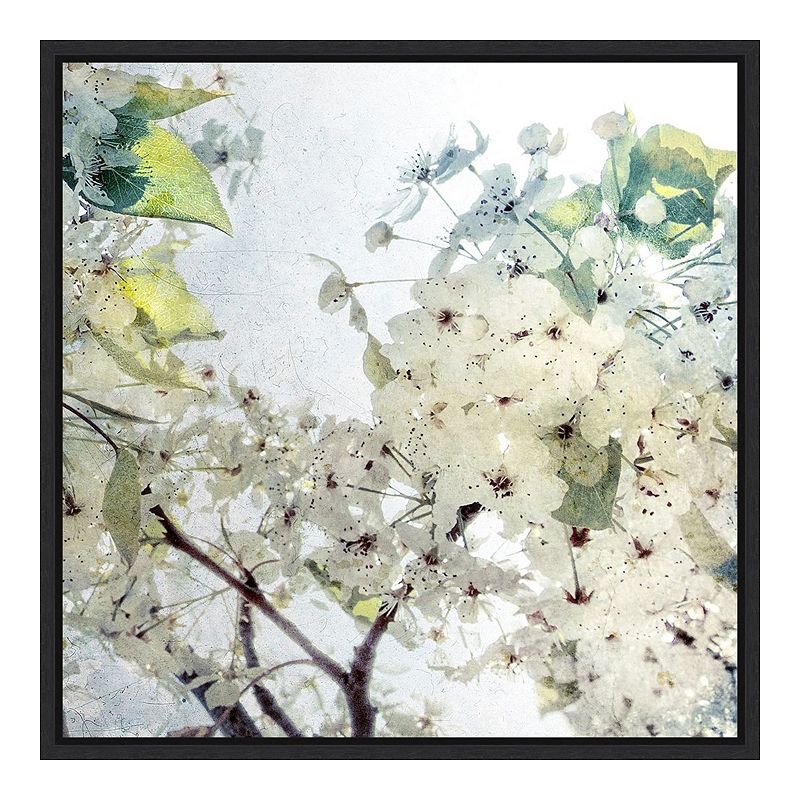 Amanti Art Effloresce White Cherry Blossom Framed Canvas Wall Art, Black, 1