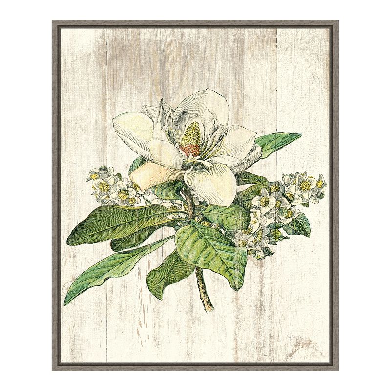 Amanti Art Magnolia de Printemps Flower Framed Canvas Wall Art, Grey, 16X20