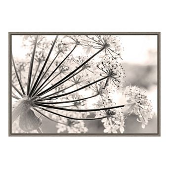 Amanti Art Floral Cow Parsnip Framed Canvas Wall Art
