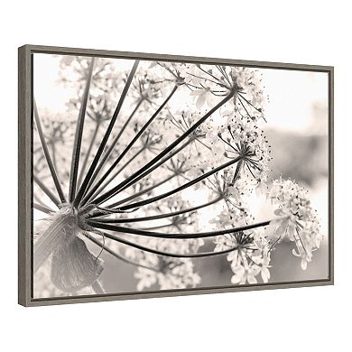 Amanti Art Floral Cow Parsnip Framed Canvas Wall Art