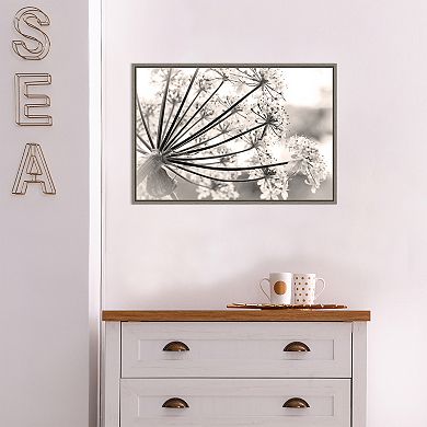 Amanti Art Floral Cow Parsnip Framed Canvas Wall Art