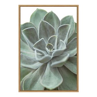 Amanti Art Echeveria Succulent Framed Canvas Wall Art