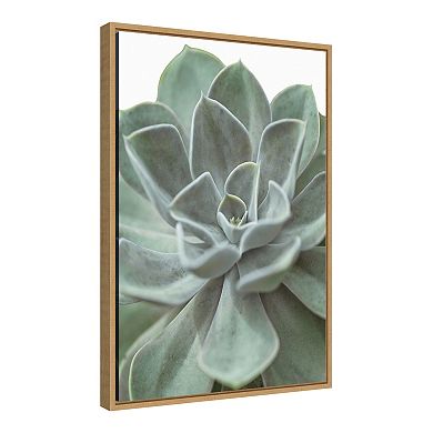 Amanti Art Echeveria Succulent Framed Canvas Wall Art