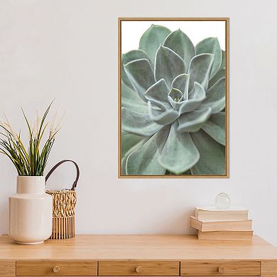 Amanti Art Echeveria Succulent Framed Canvas Wall Art