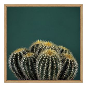 Amanti Art Cactus I Framed Canvas Wall Art