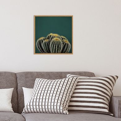 Amanti Art Cactus I Framed Canvas Wall Art