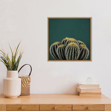 Amanti Art Cactus I Framed Canvas Wall Art