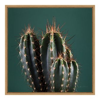 Amanti Art Cactus IV Framed Canvas Wall Art