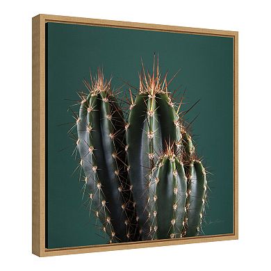Amanti Art Cactus IV Framed Canvas Wall Art