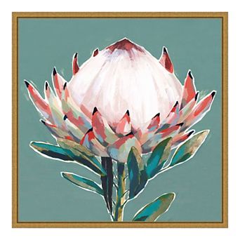 Amanti Art Blooming Pink King Protea Flower Framed Canvas Print