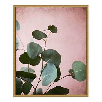 Amanti Art Sage Eucalyptus No. 2 Framed Canvas Print