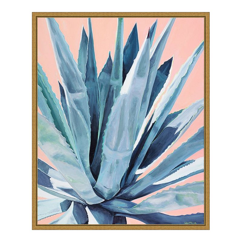 18232087 Amanti Art Agave with Coral Framed Canvas Print, Y sku 18232087
