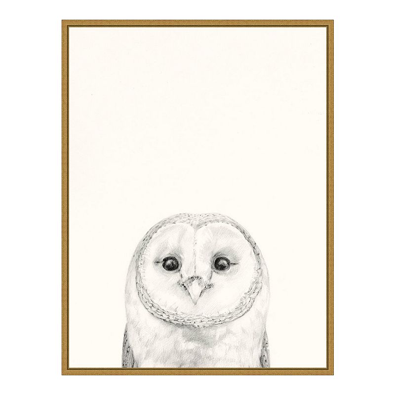 Amanti Art Animal Mug III Owl Framed Canvas Print, Yellow, 18X24