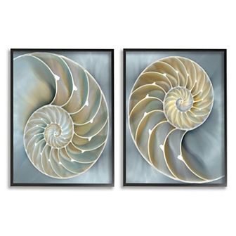 Stupell Home Decor Intricate Nautilus Interior Framed Wall Art 2 pc Set