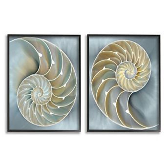 Stupell Home Decor Intricate Nautilus Interior Framed Wall Art 2 pc Set