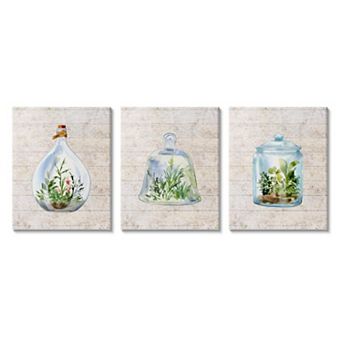 Stupell Home Decor Enclosed Succulent Jars Rustic Charm Greenery Illustration Wall Art