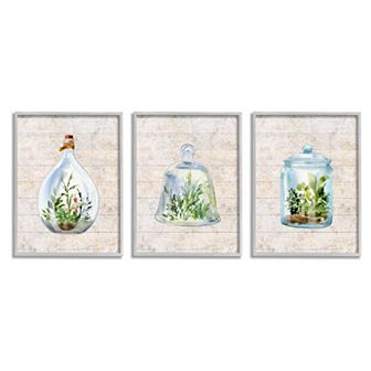 Stupell Home Decor Enclosed Succulent Jars Rustic Charm Greenery Illustration Framed Wall Art