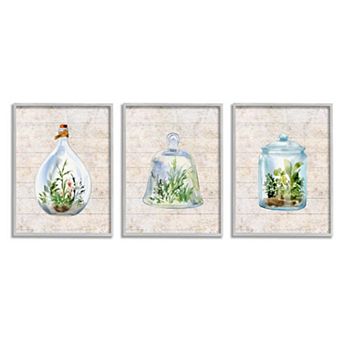 Stupell Home Decor Enclosed Succulent Jars Rustic Charm Greenery Illustration Framed Wall Art