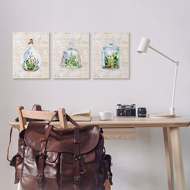 Stupell Home Decor Enclosed Succulent Jars Rustic Charm Greenery Illustration Framed Wall Art