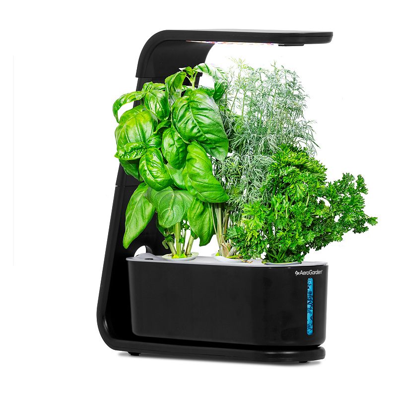 AeroGarden Sprout with Gourmet Herbs Seed Pod Kit  Black