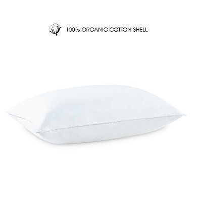 I Am Organic Cotton Pillow