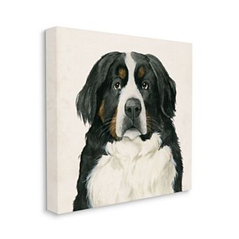 Stupell Home Decor Bernese Mountain Dog Portrait Canvas Wall Art