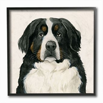 Stupell Home Decor Bernese Dog Framed Wall Art