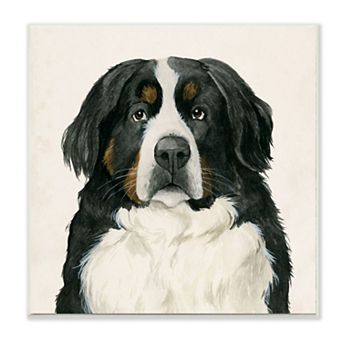 Stupell Home Decor Bernese Dog Plaque Wall Art