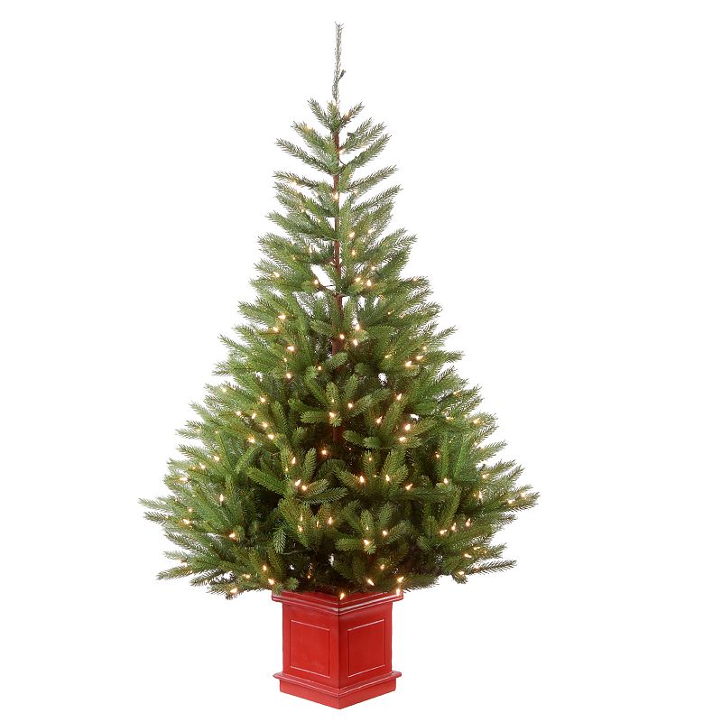 National Tree Company 5-ft. Pre-Lit Topeka Spruce Artificial Christmas Tree