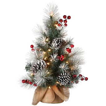 National Tree Company 2-ft. Snowy Glacier Pine Artificial Christmas Tree