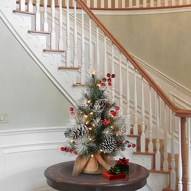 National Tree Company 2-ft. Snowy Glacier Pine Artificial Christmas Tree
