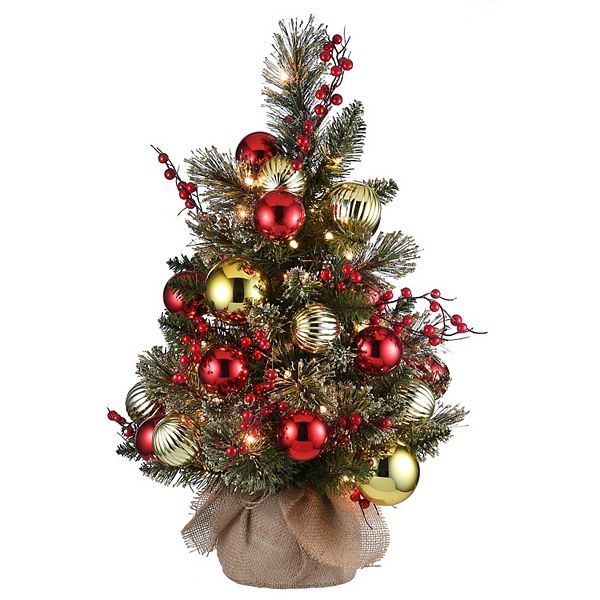 National Tree Company 2ft. Dakota Pine LED Artificial Christmas Tree